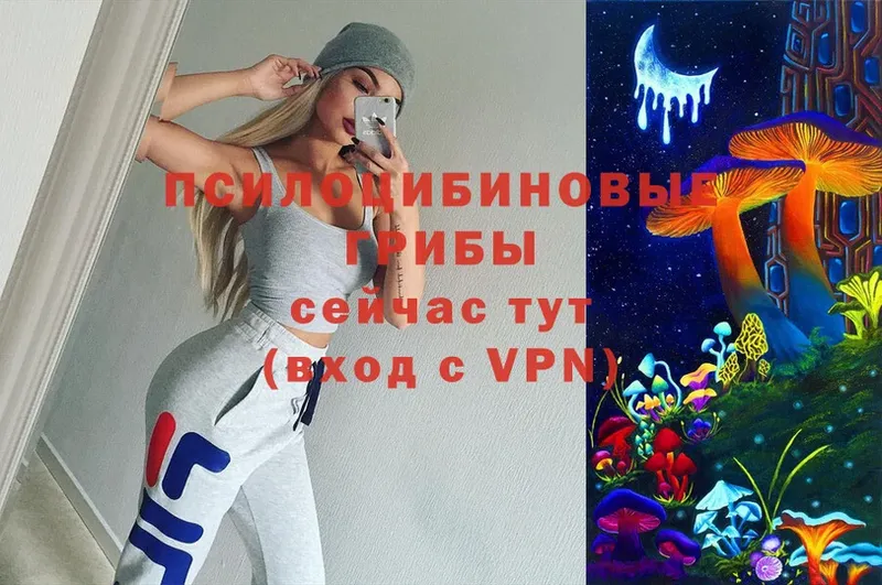 Псилоцибиновые грибы Cubensis  Лянтор 